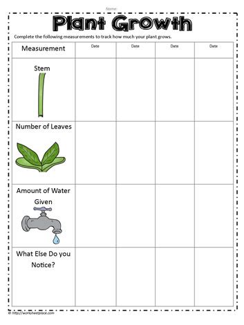 Plant Growth Measurements Worksheets