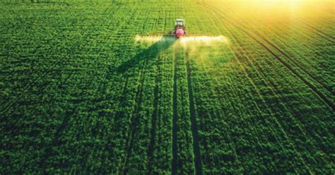 Glyphosate: Cancer and Other Health Concerns - Organic Consumers