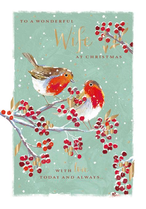 The Wildlife Wonderful Wife Festive Robins Christmas Card | Cards