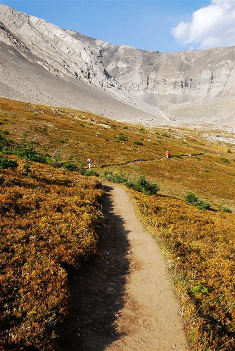 Hiking Trail in Alpine Meadow Stock Photo - Image of hike, hikers: 7333360