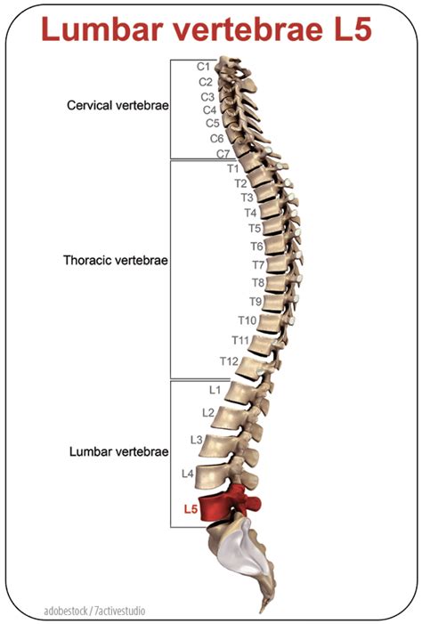 Correctly Identify Low Back Pain - AAPC Knowledge Center