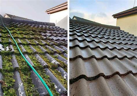 Roof and Gutter Cleaning - AquaForce Pressure Washing