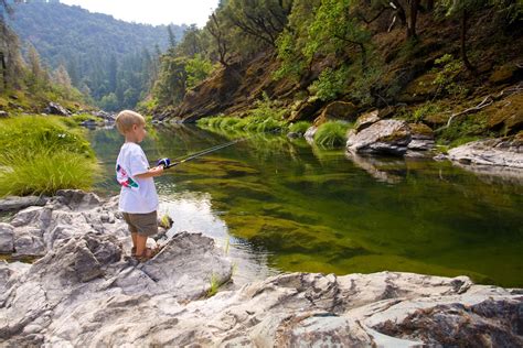 Trinity River Fishing: The Complete Guide