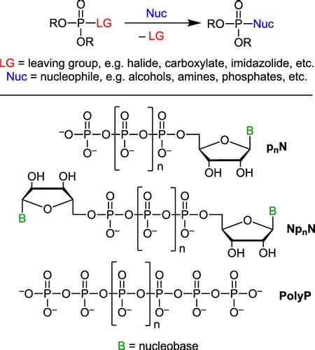 Phosphate Functional Group Example