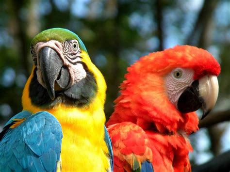 Here's Why Colombia is One of the Most Biodiverse Countries on Earth