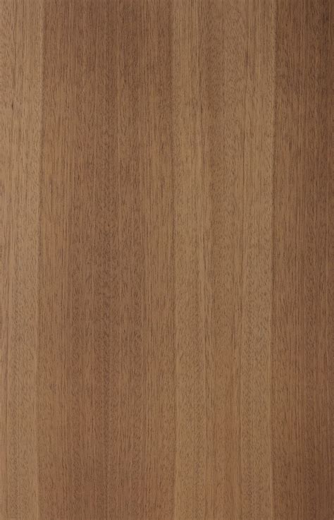 Light Cocobolo | Veneer texture, Wood texture seamless, Walnut wood texture