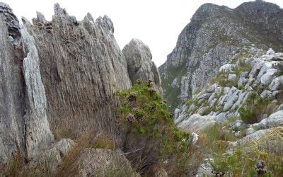 Kogelberg Hike | UNESCO | Walk | South Africa | Africansunroad.com