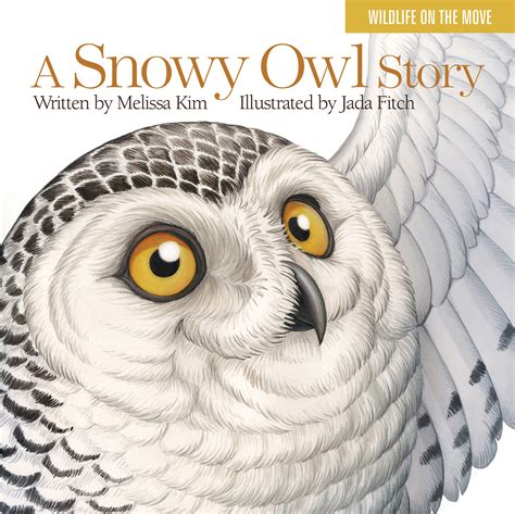 The 12 Best Bird Books of 2015 | Audubon