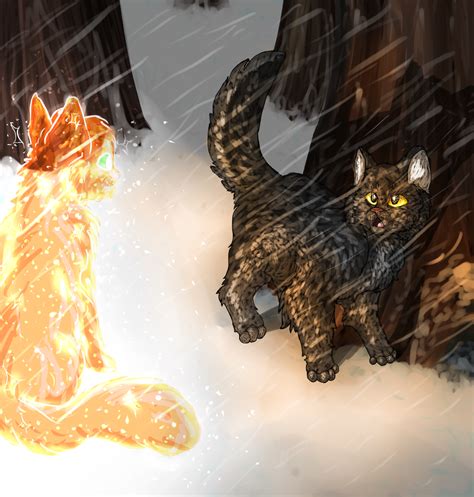 Firestar and Graystripe by OstaTem on DeviantArt