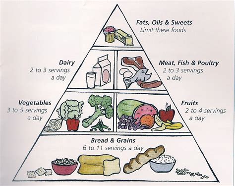 6 Basic Food Groups Pyramid