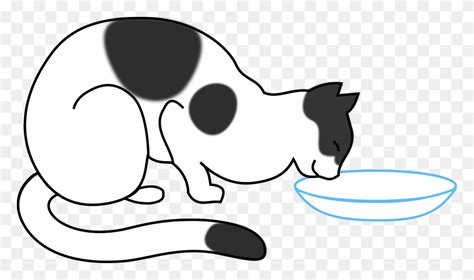 This Free Icons Design Of White Cat Drinking, Cow, Cattle, Mammal HD PNG Download - FlyClipart