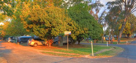 Beechworth Caravan Park Caravan Camp Tent Sites Powered Unpowered