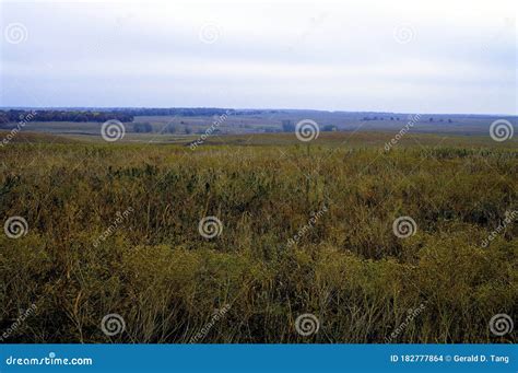 Tallgrass Prairie Preserve 45004 Stock Photo - Image of preserve ...