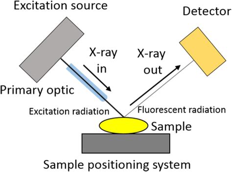 Frontiers | Laboratory Microprobe X-Ray Fluorescence in Plant Science: Emerging Applications and ...