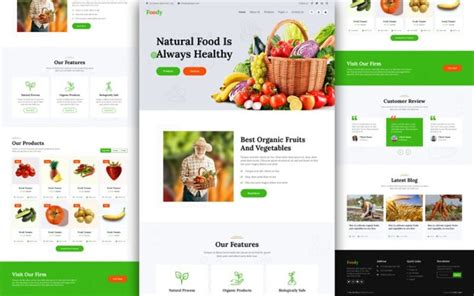 Organic Food Website Template Free download - HTML Codex