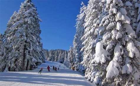 Borovets Ski Holidays in 2024/2025 | Ski Line