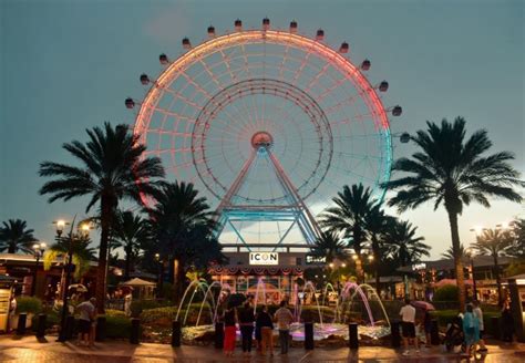 Best Nightlife Experiences in Orlando | CuddlyNest Travel Blog