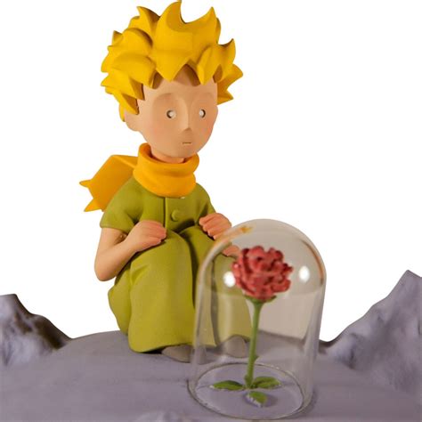 Little Prince Rose | ubicaciondepersonas.cdmx.gob.mx