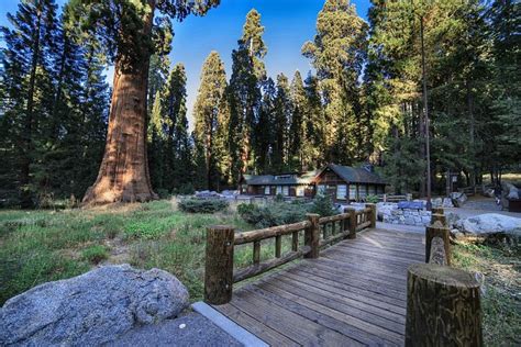 Sequoia and Kings Canyon National Park, CA 2023: Best Places to Visit ...