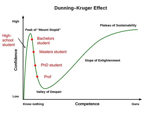 Dunning-Kruger curve for physicists : r/physicsmemes