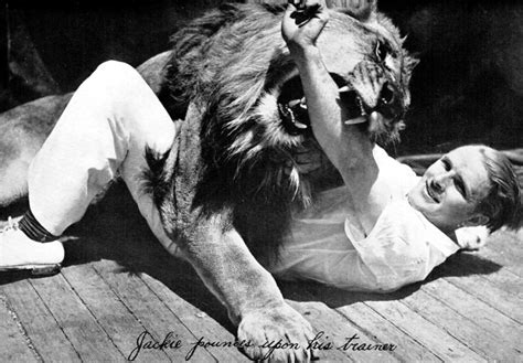 Leo The Lion (MGM) Wikipedia, 41% OFF | www.gbu-hamovniki.ru