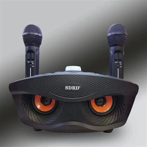 SD306 Dual Wireless Microphone Bluetooth Speaker Mobile Wireless ...