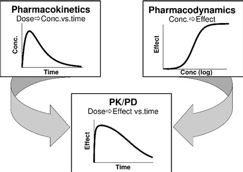 The Role of Pharmacokinetics and Pharmacodynamics in the Development of ...