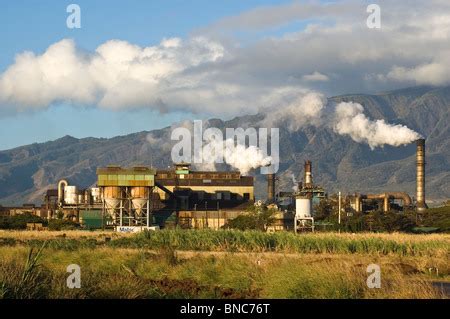 Sugar mill and sugar cane field, Mhlume, Swaziland Stock Photo: 85910297 - Alamy