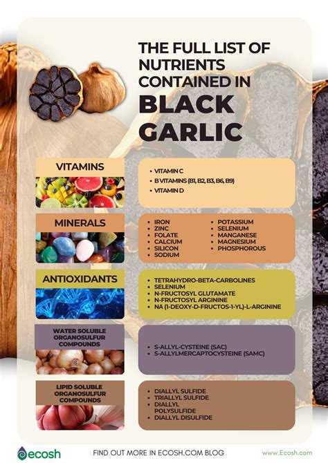 BLACK GARLIC (ALLIUM NIGRUM) - 13 Remarkable Evidence-Based Possible Health Benefits of Black ...