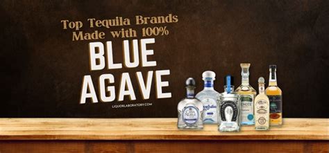 What Brands Of Tequila Are 100% Blue Agave? (2024 Best Edition)