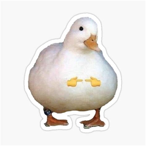 "CUTE DUCK MEME" Sticker for Sale by TimosStickers | Redbubble