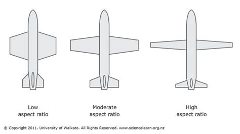 Wing aspect ratios | Aspect ratio, Learning science, Wings