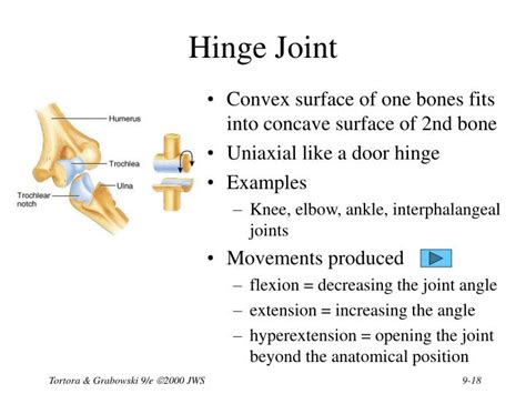 PPT - Chapter 9 Joints PowerPoint Presentation - ID:1703136