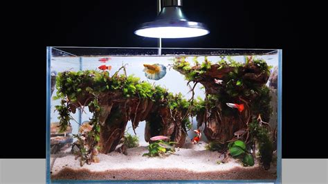 Amazing DIY Nano Planted Aquarium At Home Ideas - Homemade Mini Aquascape Fish Tank Mr Decor ...