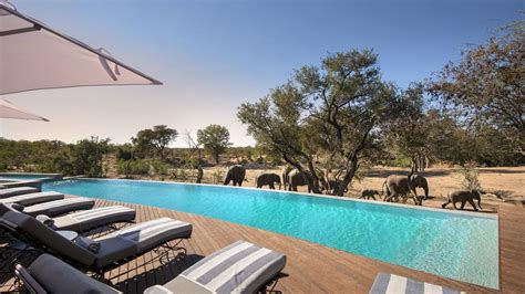 Ngala Safari Lodge - East Cape Tours & Safaris