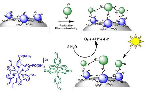 Electro-assembly of a Chromophore-Catalyst Bilayer for Water Oxidation and Photocatalytic Water ...