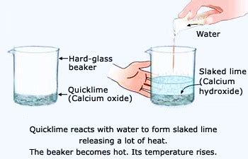 Class 10 Science- Chapter 1- Chemical Reactions and Equations- Formation of Slaked Lime - CBSE ...