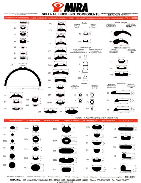 Scleral Buckle Basics - VBS Academy