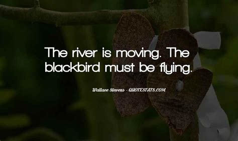 Top 45 Blackbird Quotes: Famous Quotes & Sayings About Blackbird