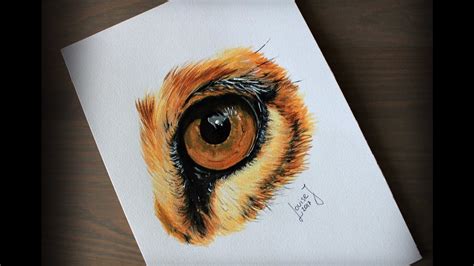 Lion Eye Drawing