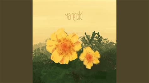 Marigold - YouTube