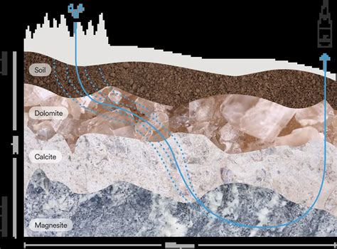 Mineralization