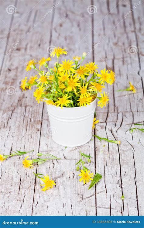 Wild Yellow Flowers In Bucket Stock Image - Image of leaves, leaf: 33885505