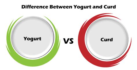 Difference between Yogurt and Curd | Online Tutorials Library List ...