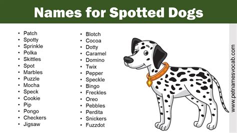 List of Names for Spotted Dogs - Pet Names Vocab