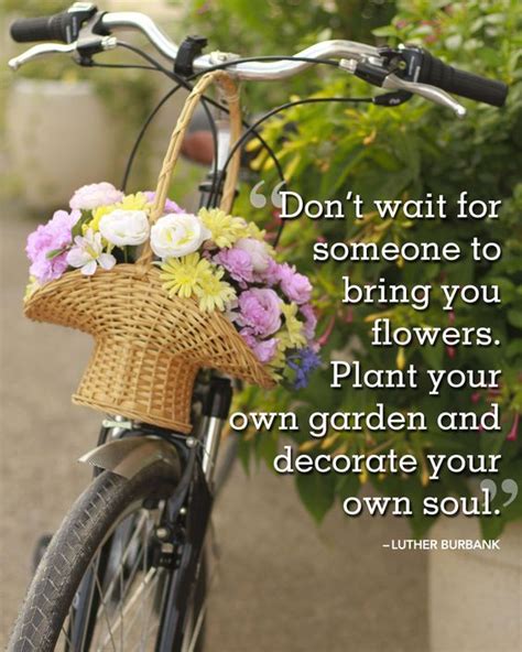 Don't wait for someone to bring you flowers... | Spring quotes, Celebration quotes, Flower quotes