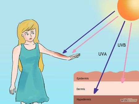 How The Sun Damages Skin | SERO