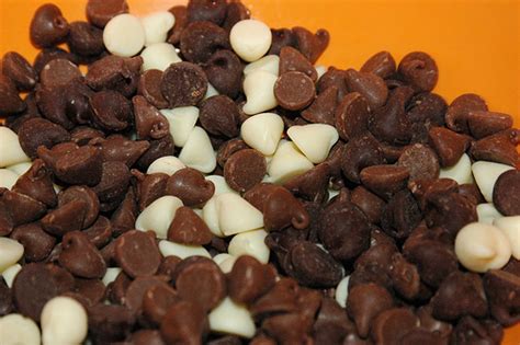 All About Chocolate Chip Varieties: Fun Facts from The Elf