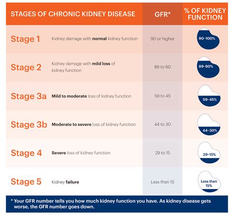 Chronic Kidney Disease Stages