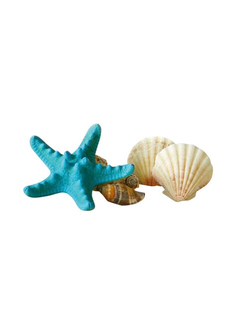 Seashell Starfish Sunscreen Gratis - Shells starfish png download ...